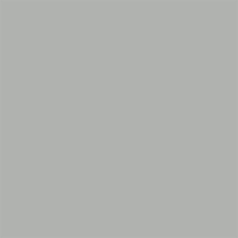 Szary | RAL 7038
