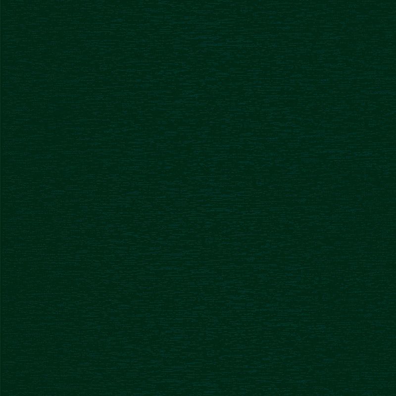 Dark Green | 612505-167 smoothgrain